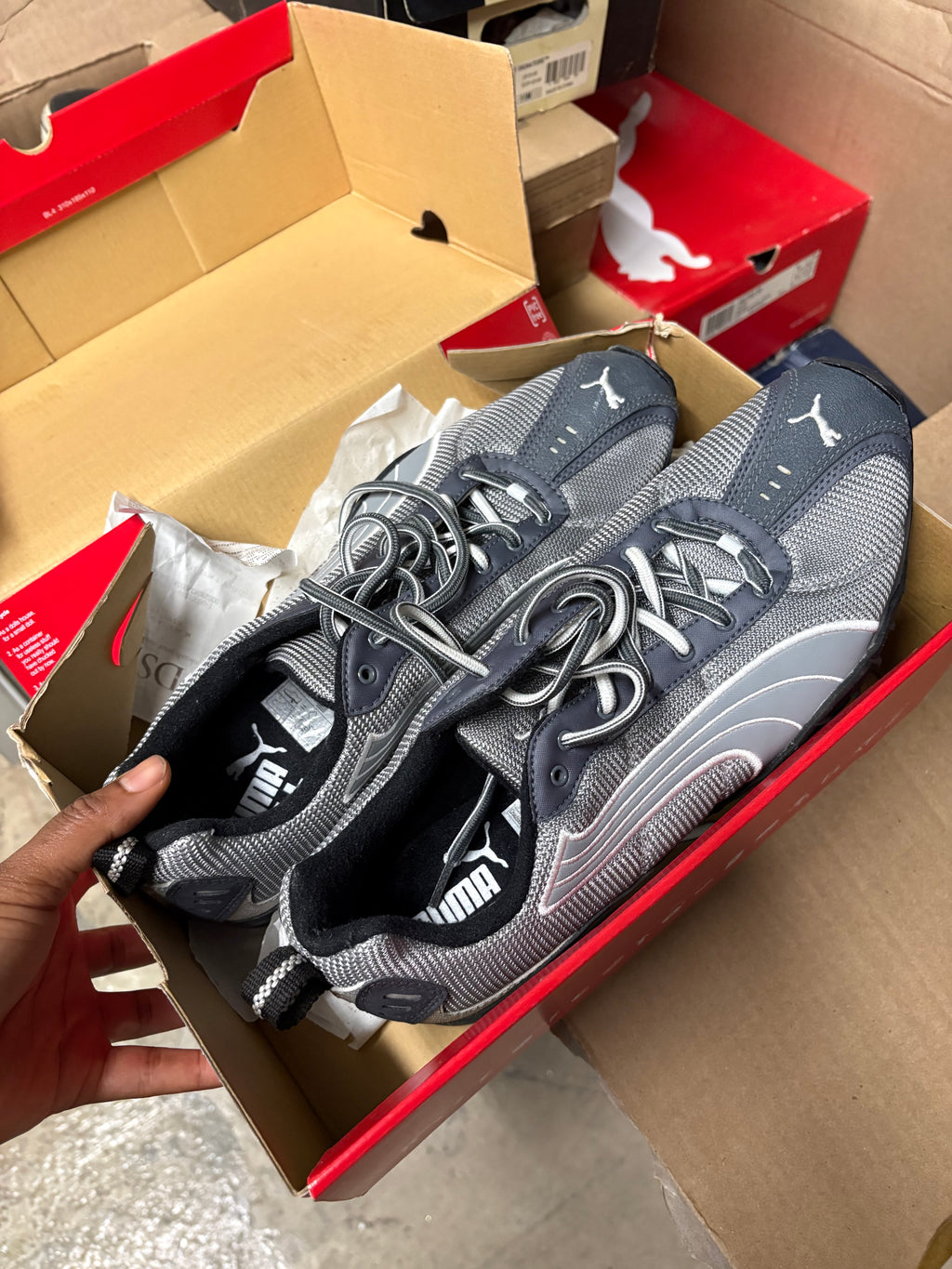 Gray Pumas