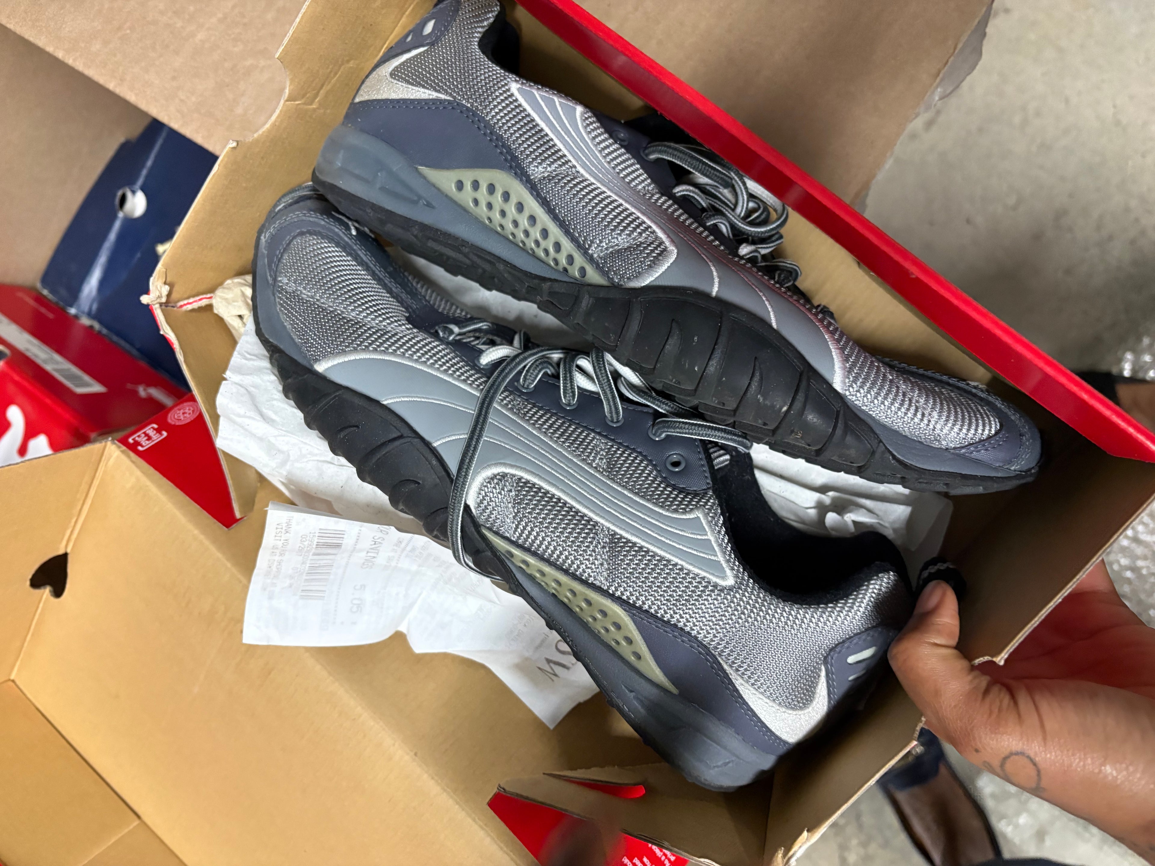 Gray Pumas